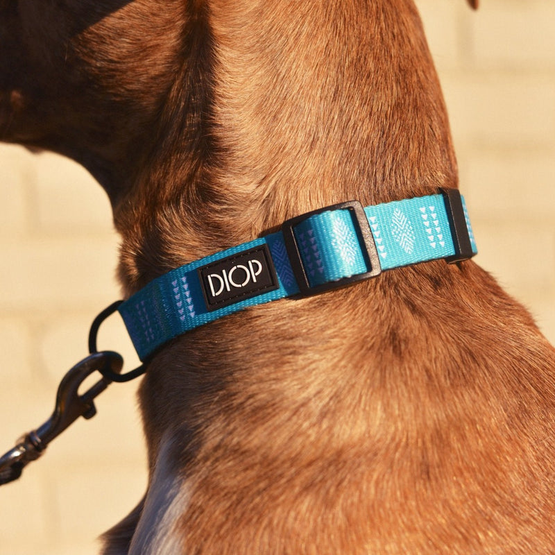 The Aloma Dog Collar Dog Collar DIOP. 