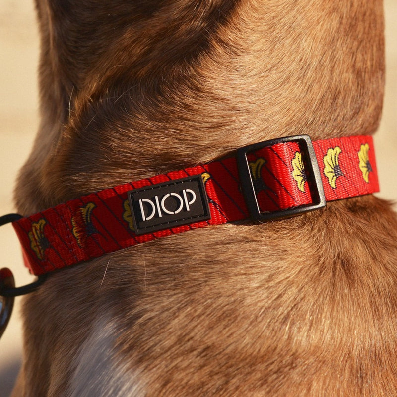 The Amar Dog Collar Dog Collar DIOP. 