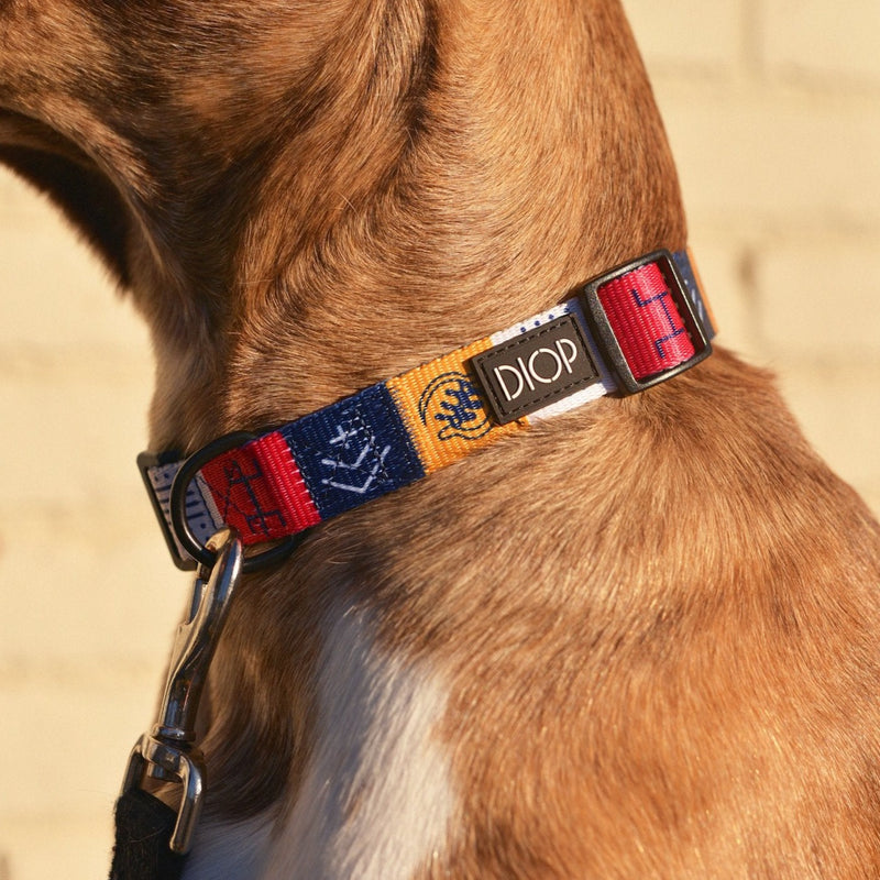 Louis Vuitton Dog Leashes & Head Collars for sale