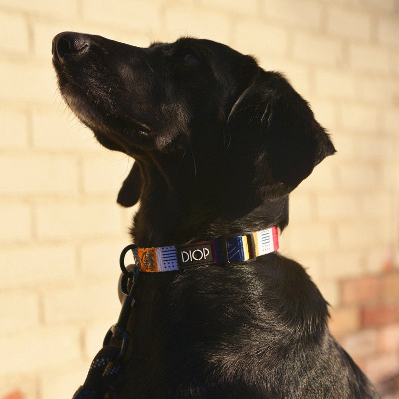 The Harmata Dog Collar Dog Collar DIOP. 