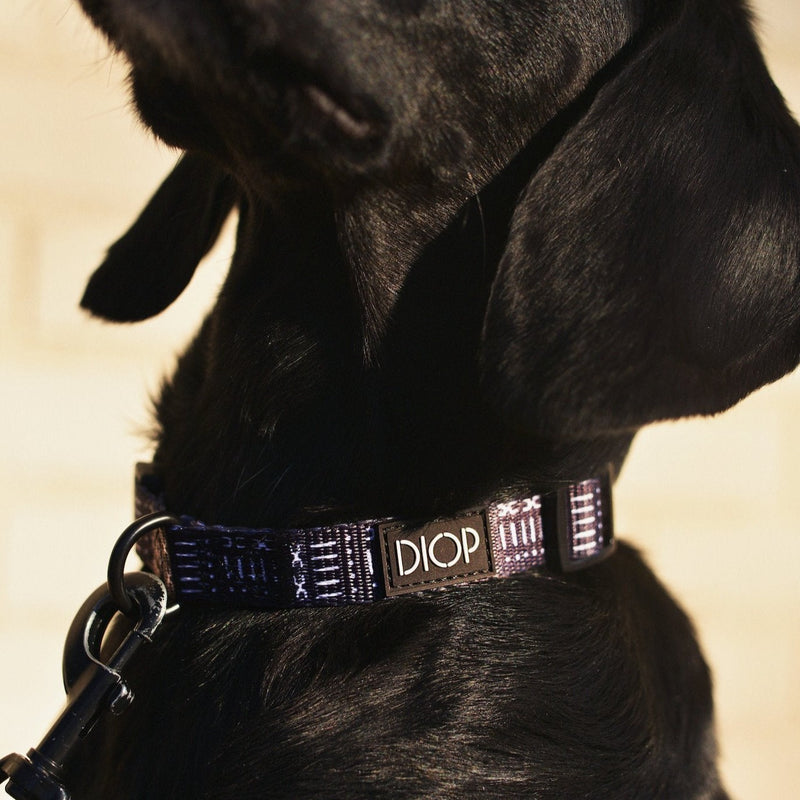 The Mud Black Dog Collar Dog Collar DIOP. 