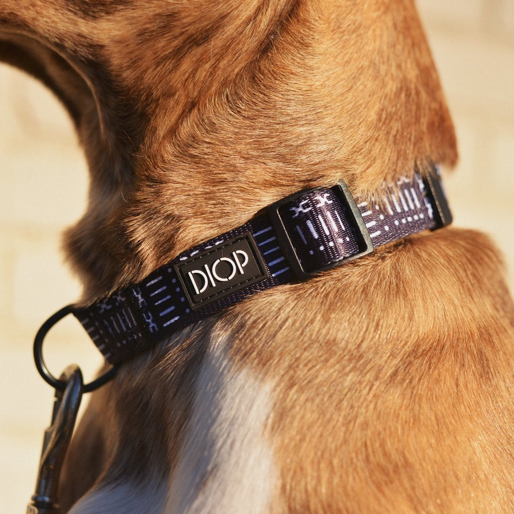 The Mud Black Dog Collar DIOP