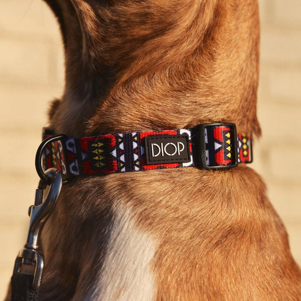 The Nana Dog Collar Dog Collar DIOP. 