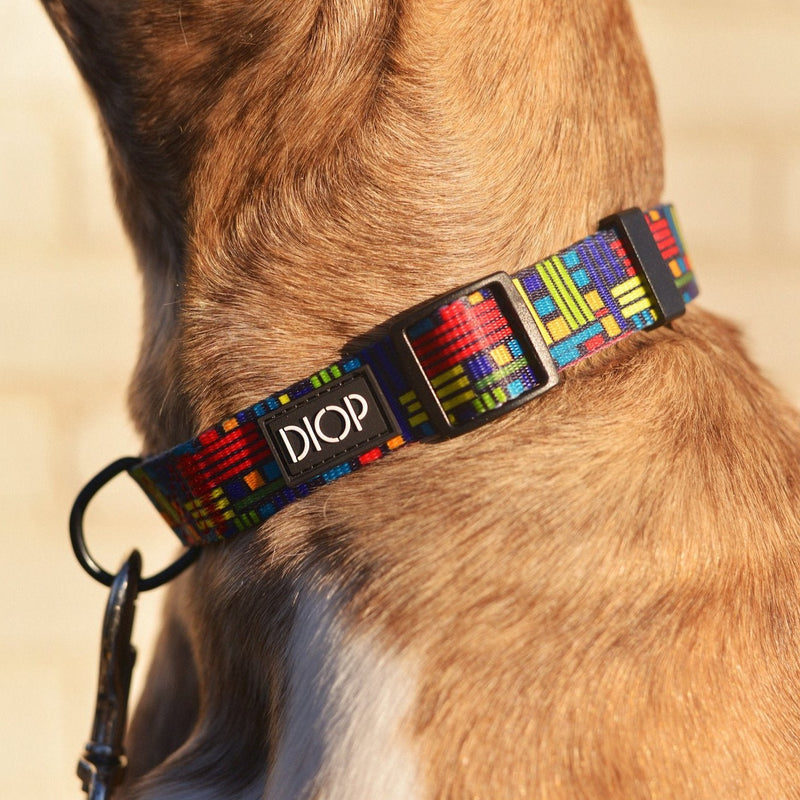 The Weka Dog Collar Dog Collar DIOP. 